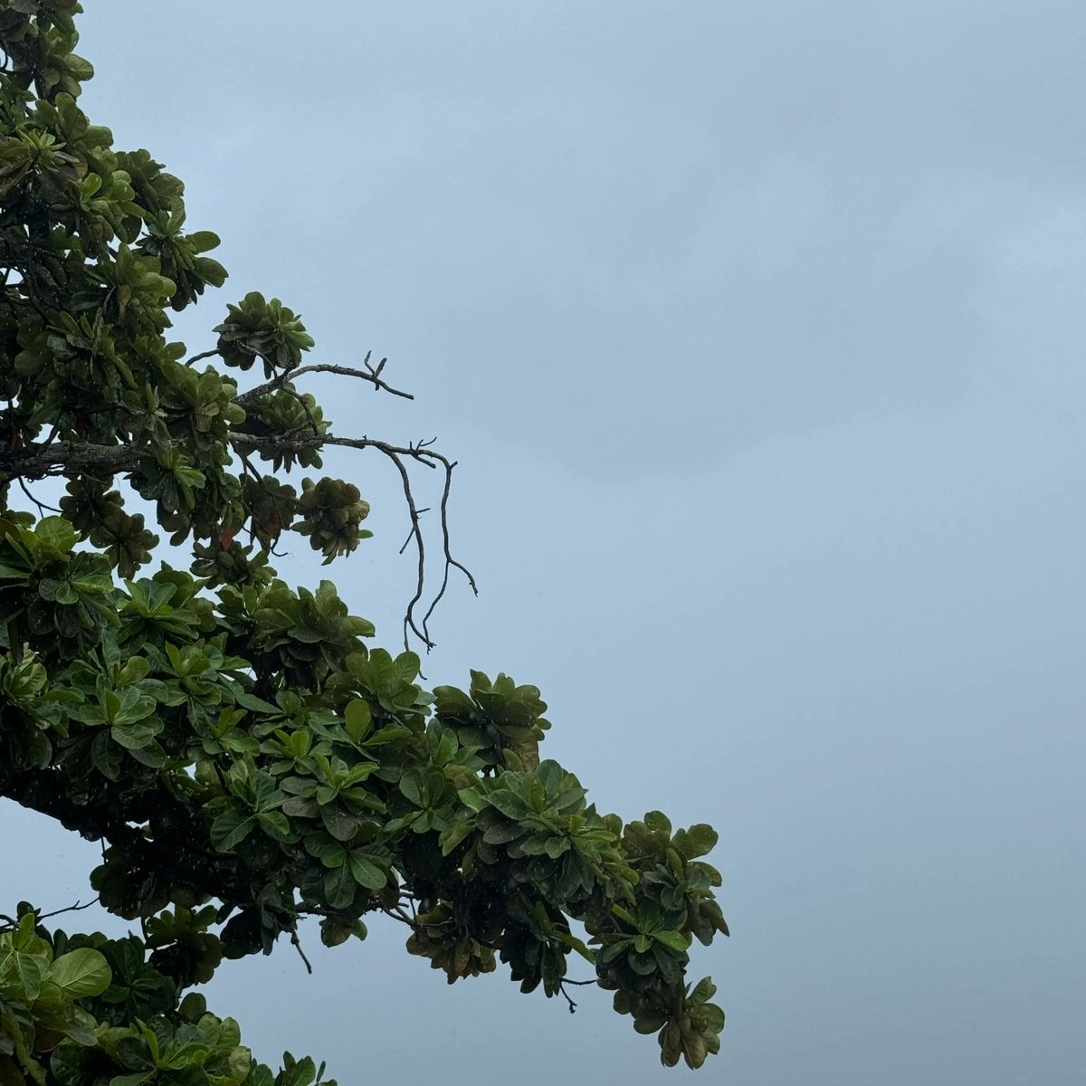 Bahia vai enfrentar chuva intensa diz Inmet