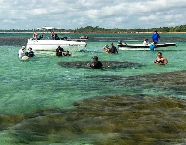 Turismo na Bahia cresce acima da média nacional; Veja principais destinos