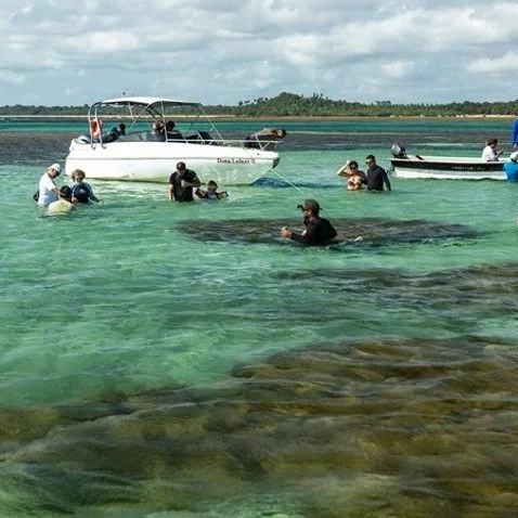 Turismo na Bahia cresce acima da média nacional; Veja principais destinos