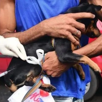 Campanha de Vacinação Antirrábica em Salvador chega ao fim com mais de 200 mil animais imunizados