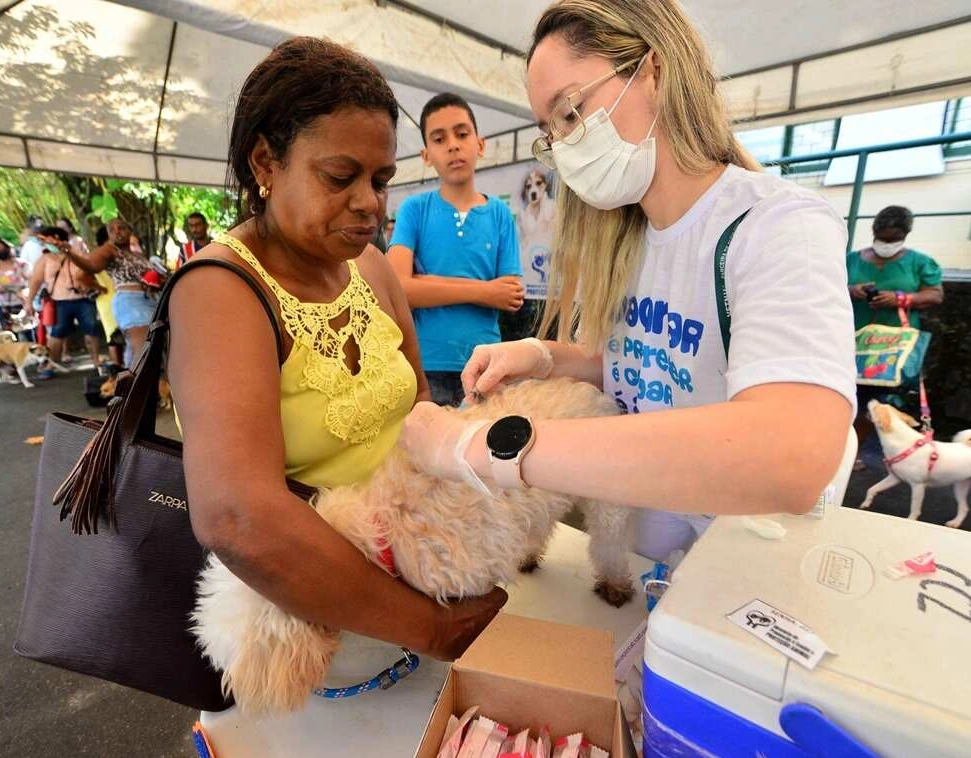 Prefeitura disponibilizará mais 3 mil doses de vacina V10 para cães