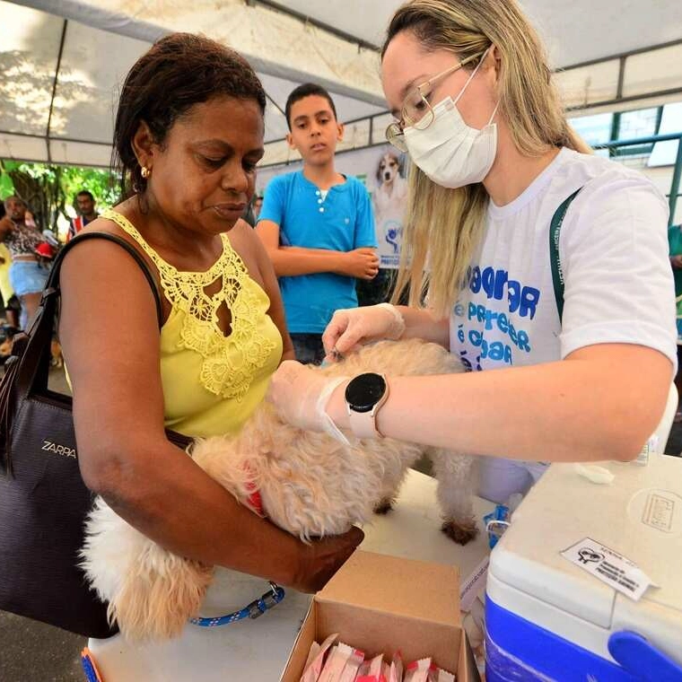 Prefeitura disponibilizará mais 3 mil doses de vacina V10 para cães