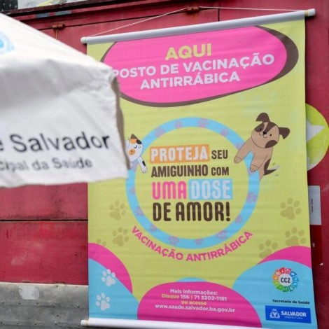 Campanha de vacinação antirrábica é prorrogada até 30 de setembro em Salvador