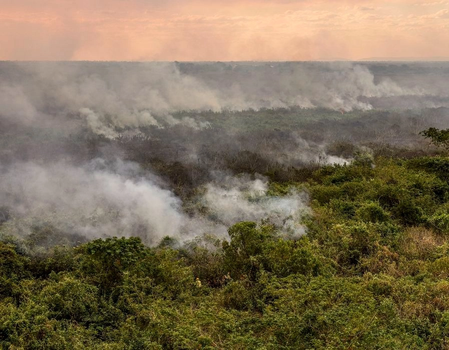 Pantanal poderá ter crise hídrica histórica em 2024, aponta estudo