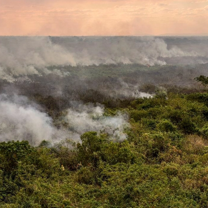 Pantanal poderá ter crise hídrica histórica em 2024, aponta estudo