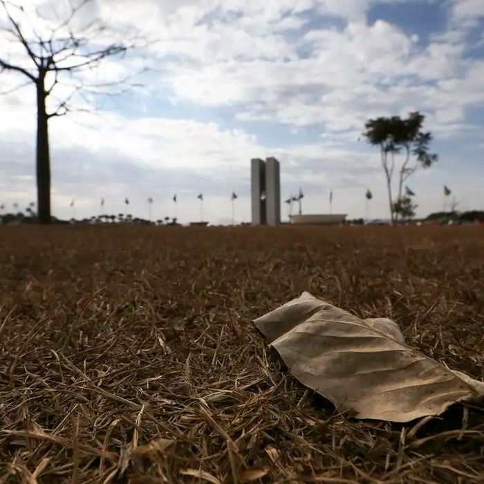 Bahia tem alerta de grande perigo para baixa umidade; veja cidades afetadas