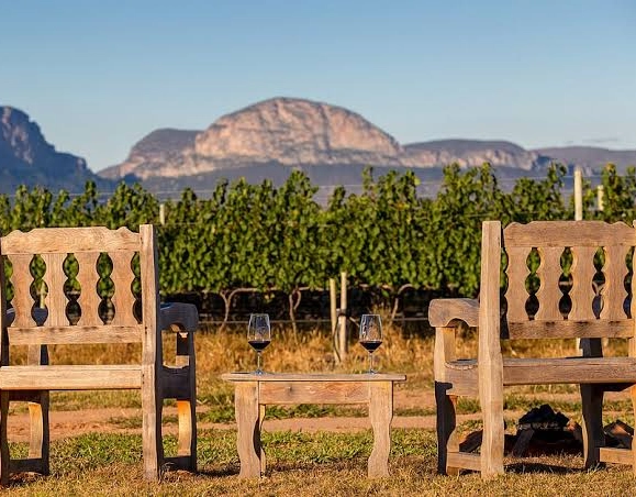 Vinhos em Harmonia – Morro do Chapéu: A Nova Capital do Vinho na Bahia