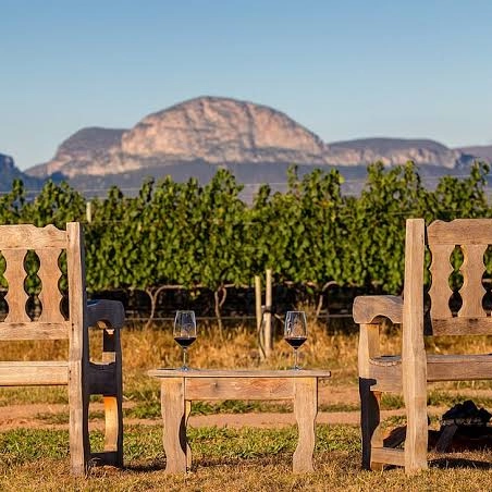 Vinhos em Harmonia – Morro do Chapéu: A Nova Capital do Vinho na Bahia