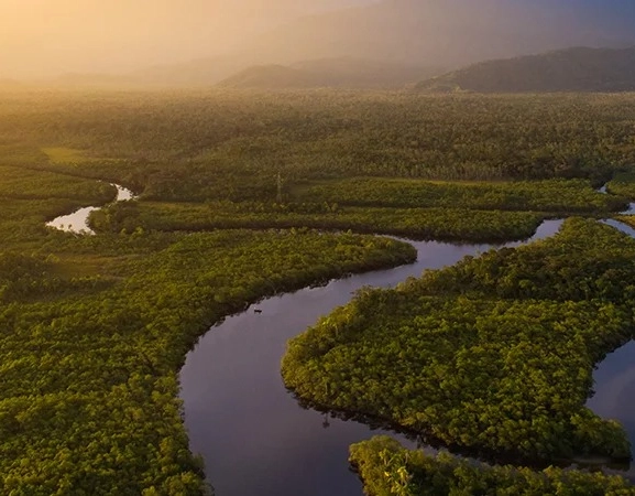 Fundo Amazônia receberá R$ 638 milhões em doações internacionais; saiba detalhes