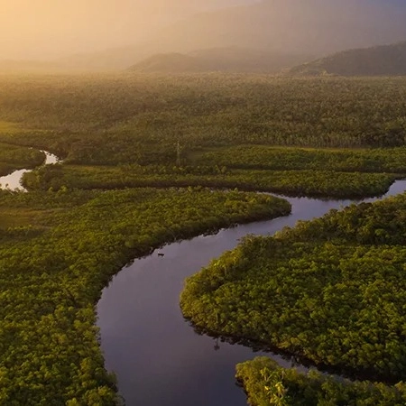 Fundo Amazônia receberá R$ 638 milhões em doações internacionais; saiba detalhes