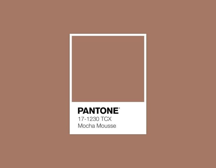 Cor do ano: Mocha Mousse é a tendência para 2025, segundo Pantone