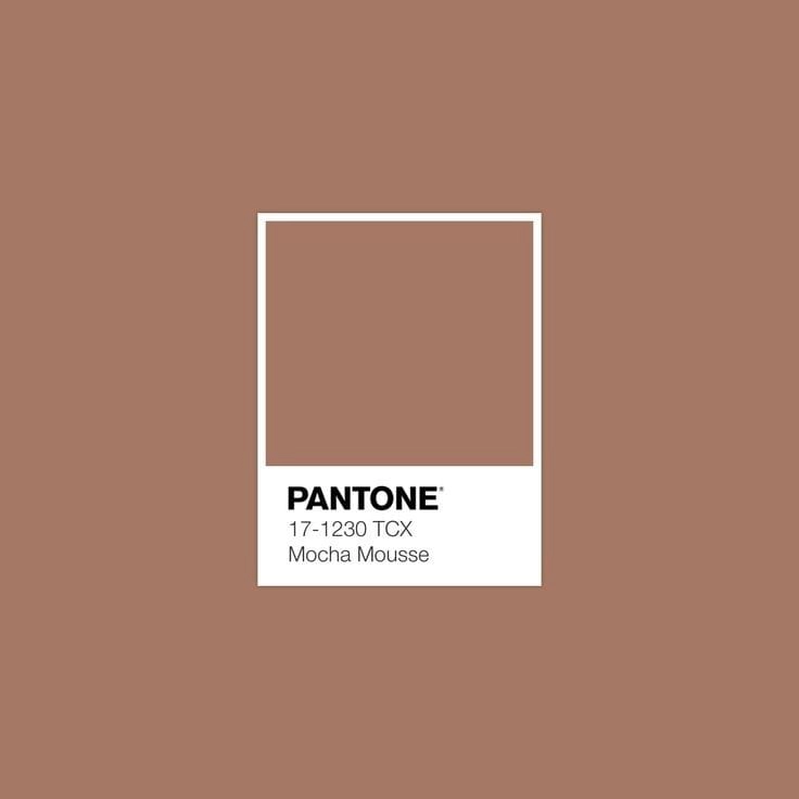 Cor do ano: Mocha Mousse é a tendência para 2025, segundo Pantone