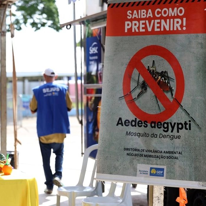 Casos de dengue no Brasil caem 60% em 2025