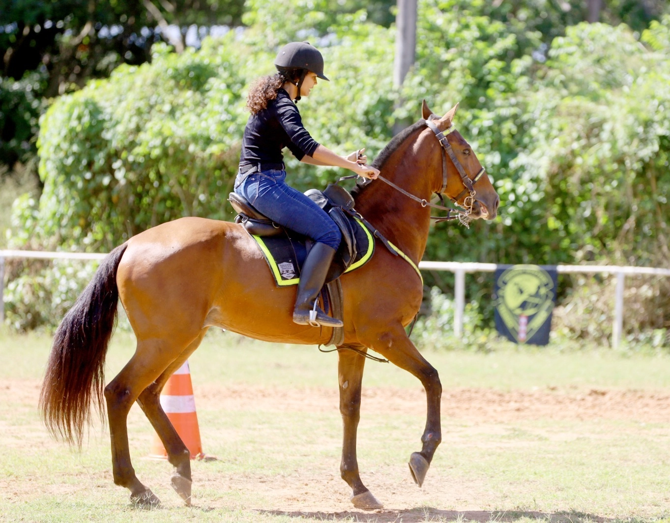 Cavalaria da PM celebra 190 anos com uma semana repleta de atividades festivas