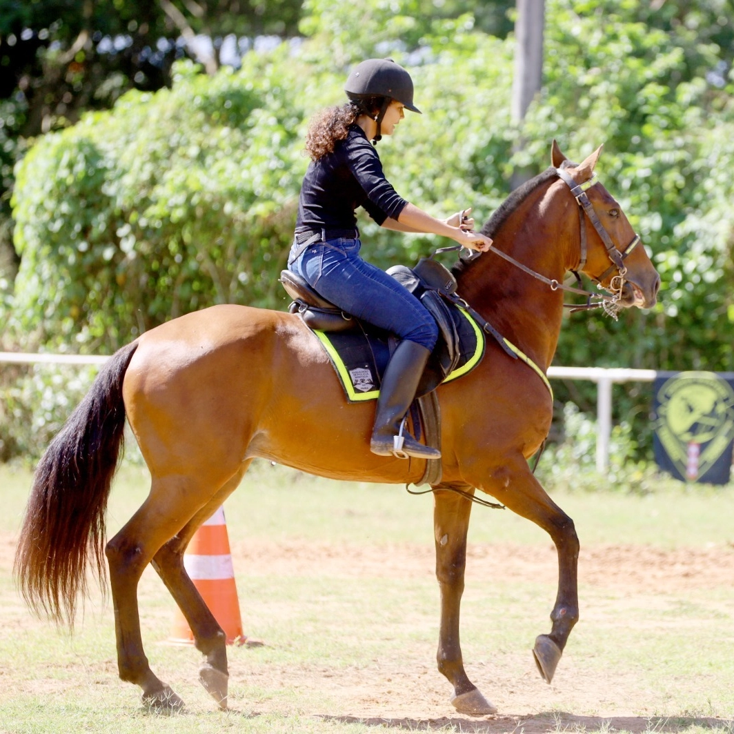 Cavalaria da PM celebra 190 anos com uma semana repleta de atividades festivas