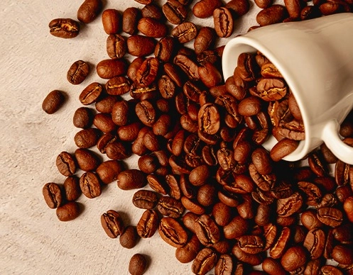 Após tarifaço, exportações de café do Brasil para os EUA caem 46%