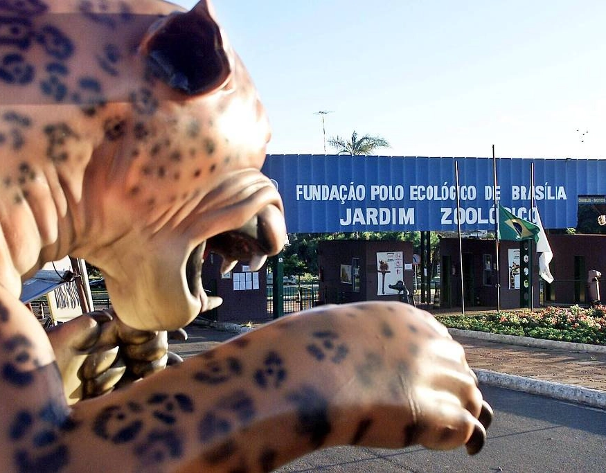 Zoológico de Brasília é fechado após suspeita de gripe aviária em aves silvestres