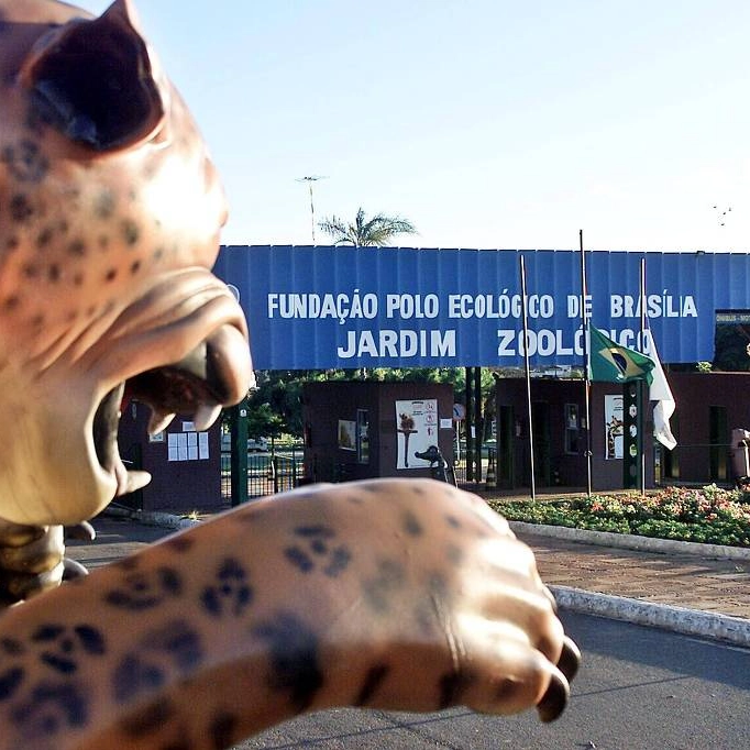 Zoológico de Brasília é fechado após suspeita de gripe aviária em aves silvestres