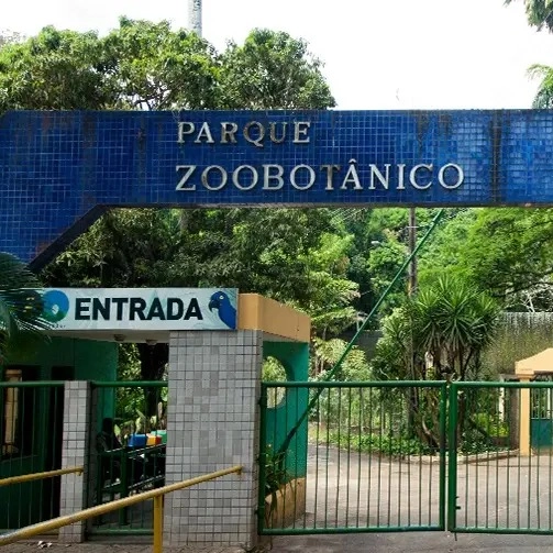 Após reforma, Zoológico de Salvador reabre nesta terça-feira